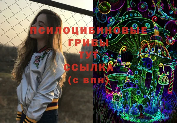 тгк Лиски