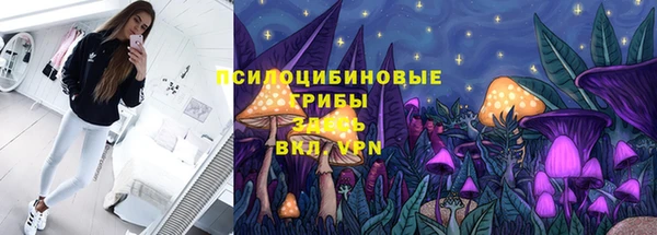 тгк Лиски